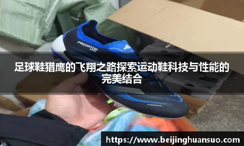 足球鞋猎鹰的飞翔之路探索运动鞋科技与性能的完美结合